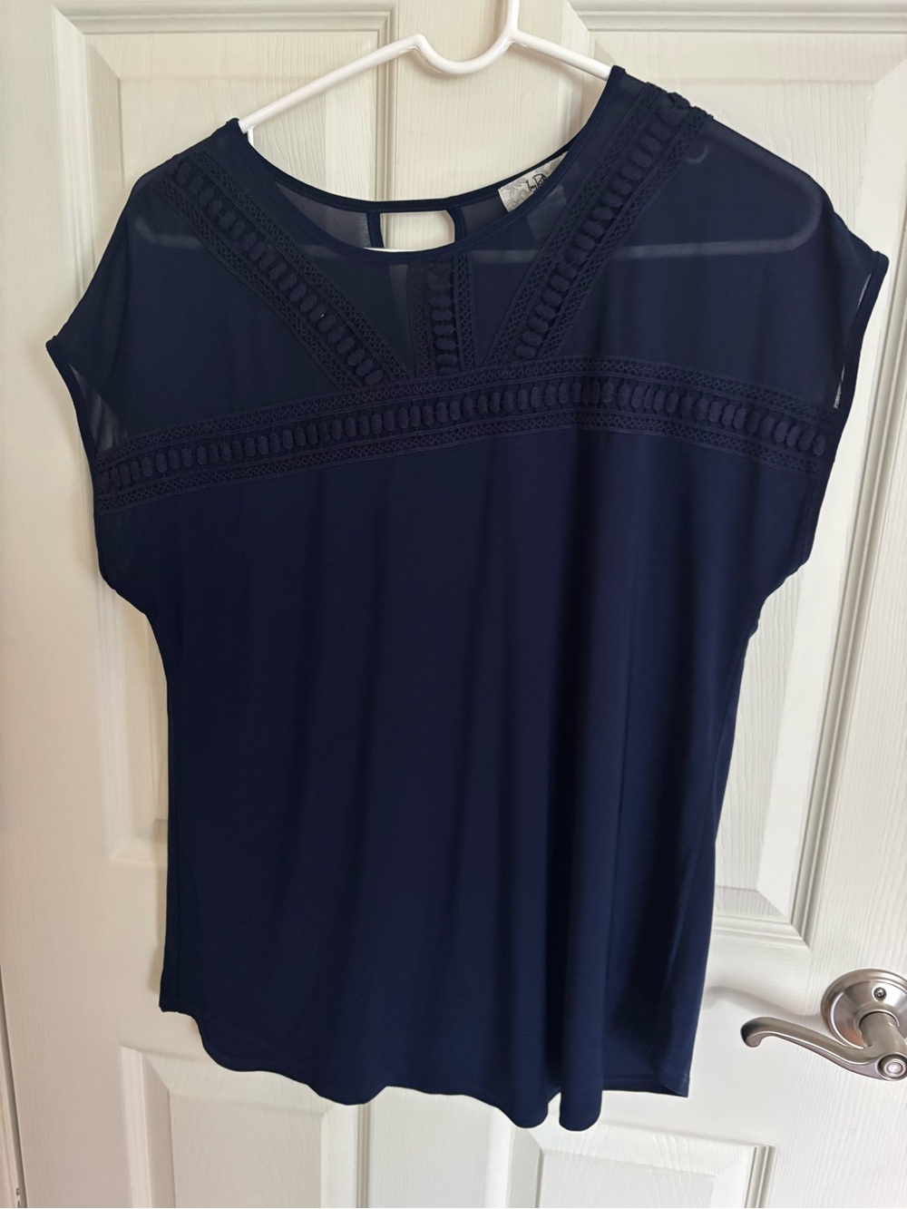 Ivy Ridge Navy Lace-Trim Sheer Top